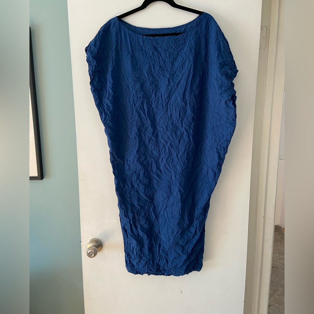 Carol Young Undesigned Moth Andy Dress
